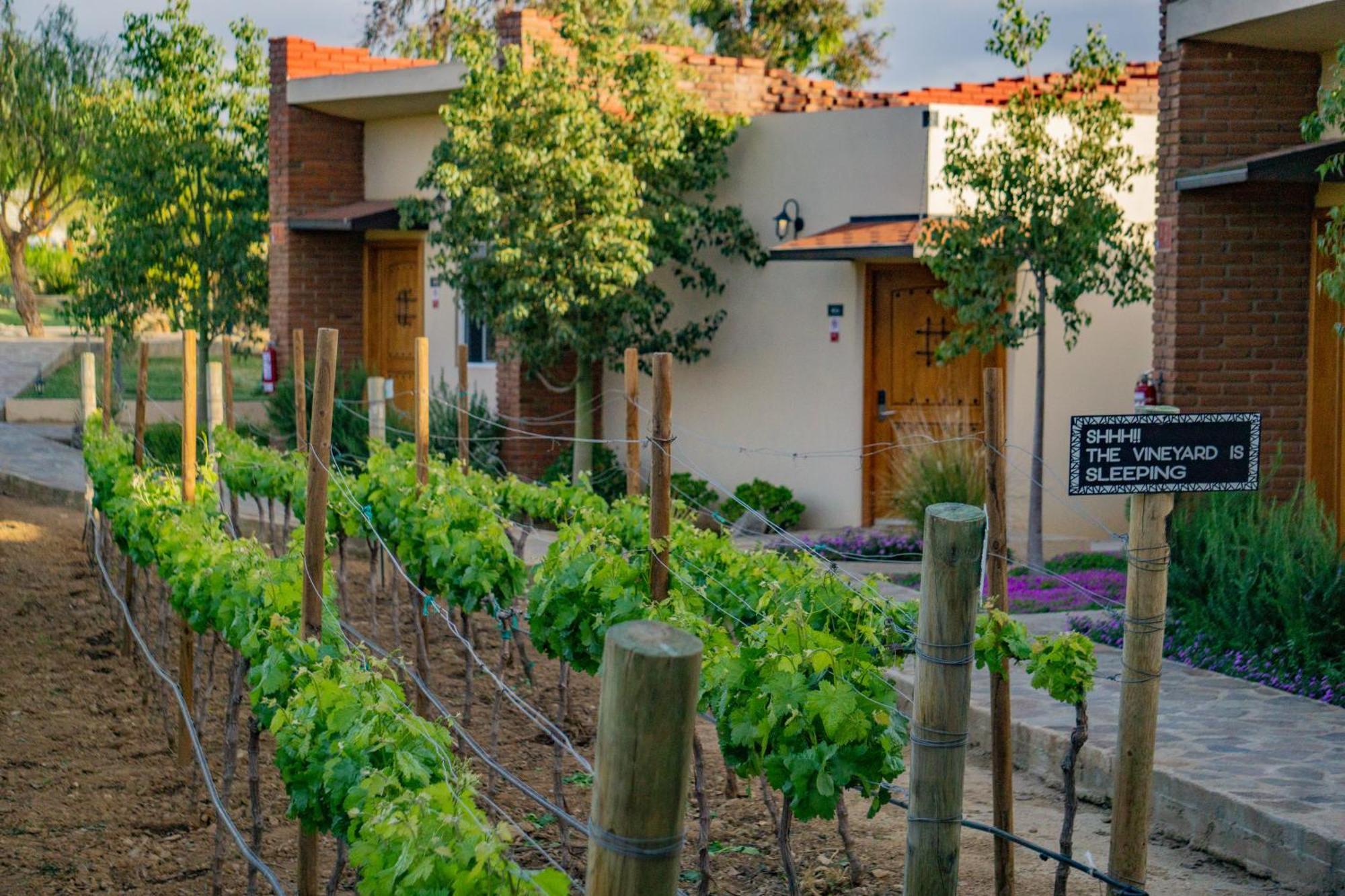 Ojo Azul Resort Valle de Guadalupe Exterior foto