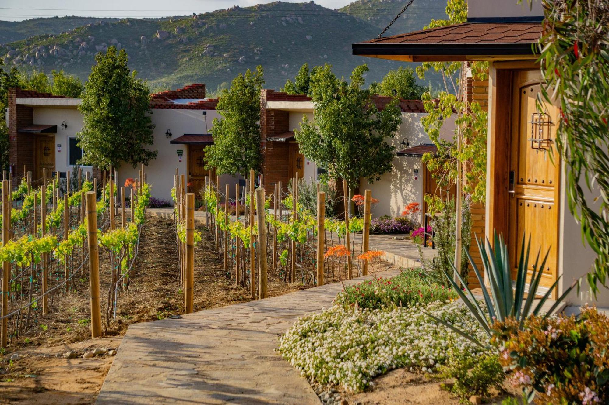 Ojo Azul Resort Valle de Guadalupe Exterior foto