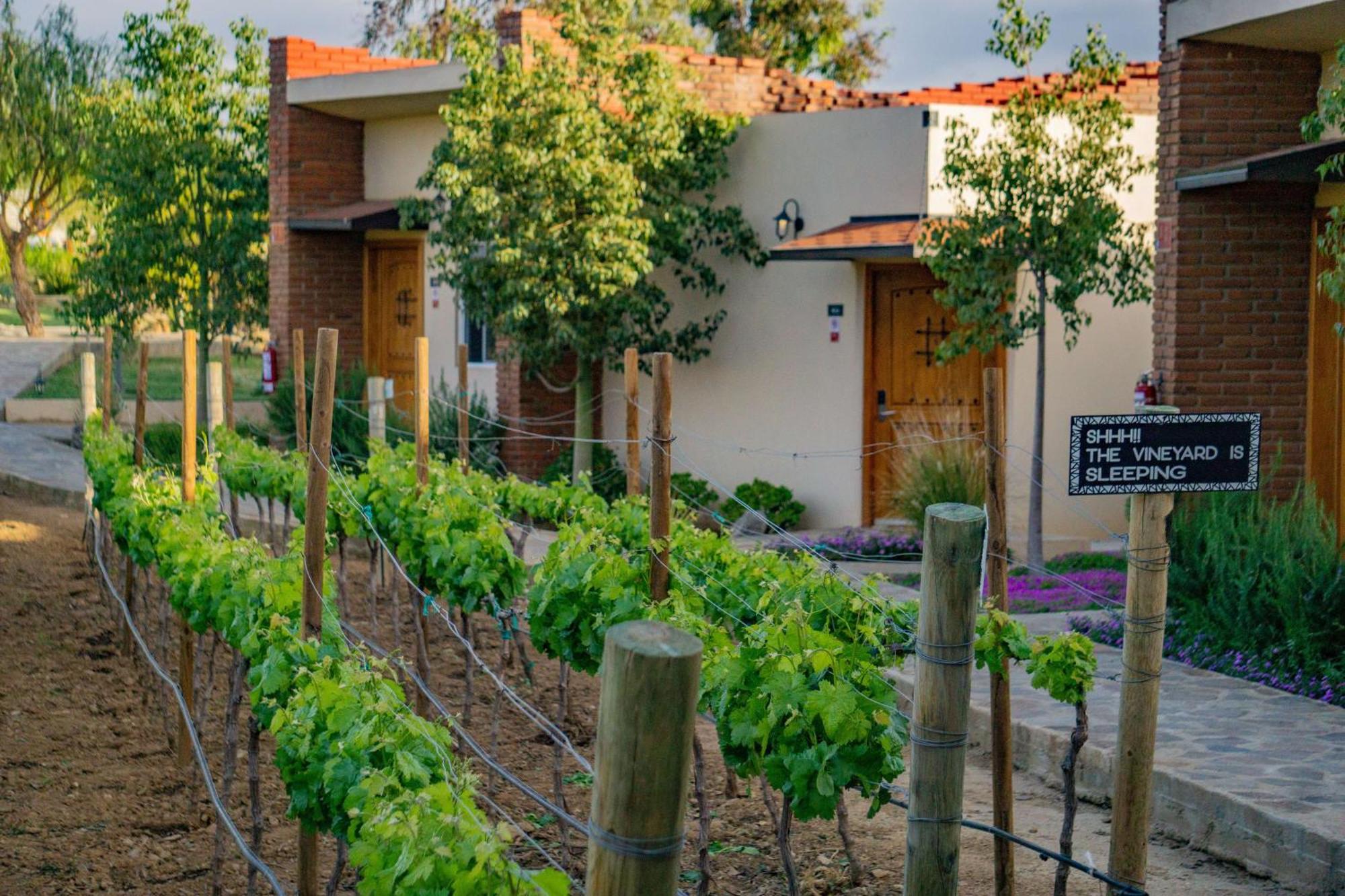 Ojo Azul Resort Valle de Guadalupe Exterior foto