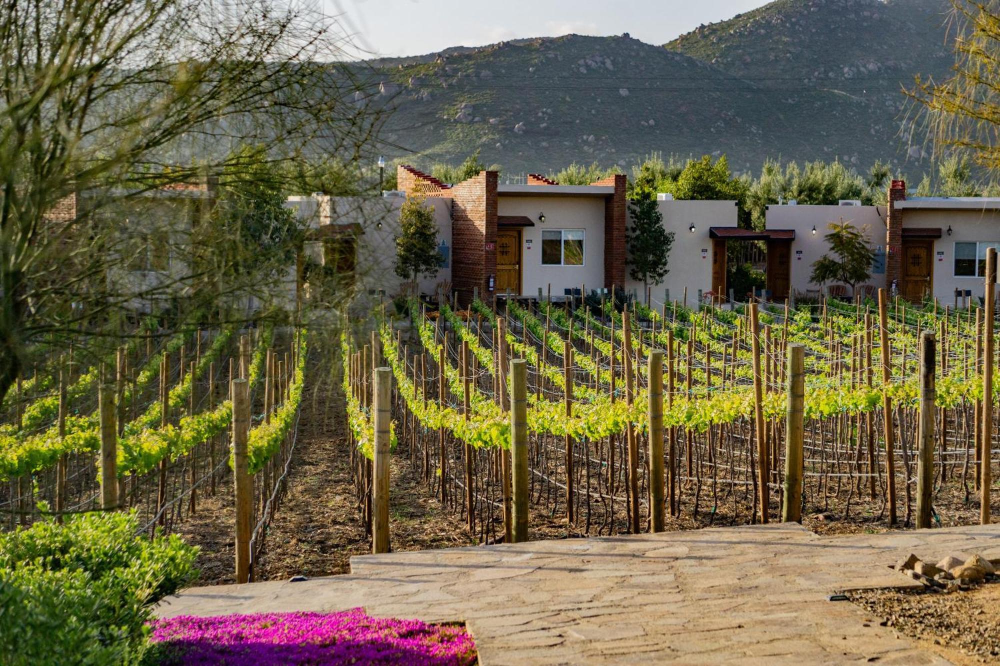 Ojo Azul Resort Valle de Guadalupe Exterior foto